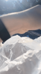 Early morning beach photo shoot features unconventional plastic dress