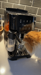 Morning coffee routine and apartment life in Barcelona