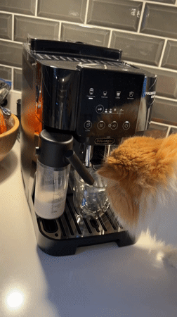 Morning coffee routine and apartment life in Barcelona