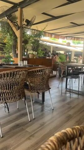 The video shows an outdoor dining area of a restaurant. In the foreground, there are several chairs made of wicker or woven material with thin metal legs. The chairs are set around a wooden table. In the background, there is a counter area with cabinets and some patrons. The area is covered by a tan awning, and there are plants and trees visible. A cat is lying on one of the chairs, partially obscured by the woven back.