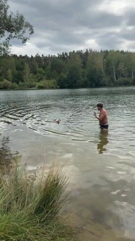 A person is in a lake, waist-deep in the water. The person is holding a phone in their right hand and appears to be recording or taking a picture of a dog that is swimming in the lake. The dog is further out in the water, facing the person. The lake is surrounded by trees and a cloudy sky. There is grass and some vegetation along the edge of the lake in the foreground.