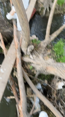 Woman explores Kama Bridge area in Perm during morning outing