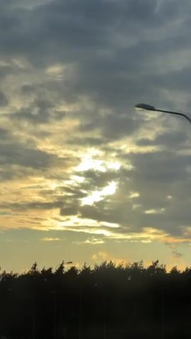 The video captures a view of the sky and a treeline. The sky is filled with clouds, with patches of sunlight breaking through. The sun appears to be low in the sky, suggesting it is either sunrise or sunset. Below the sky is a silhouetted treeline, appearing dark against the lighter sky. There are some streetlights visible among the trees. The overall impression is a natural landscape under a cloudy sky.