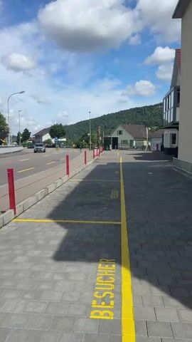 The video presents a daytime street scene with a view of a road running alongside a paved area marked for "Besucher" (visitors) in yellow paint. Red posts connected by ropes line the roadside. Cars pass on the road, and buildings and a hill are visible in the background under a sky with clouds. A building with a banner advertising watches is seen across the street. At the end of the video, a small white dog walks into the frame on the right side.