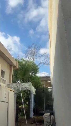 The video shows a bird perched on a branch of a tree. The tree is mostly bare with some green foliage at the bottom. The sky is blue with scattered white clouds. In the foreground, there is a clothesline rack and part of a building.