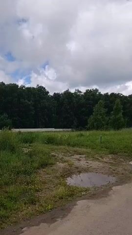 The video shows a rural landscape with a paved road in the foreground. A patch of bare earth with puddles of water is visible on the left side of the road. Beyond the road, there is a grassy field with scattered trees. In the background, a dense forest forms a dark green backdrop under a cloudy sky. The camera appears to be moving, providing a panning view of the scene. There are no people or animals visible in the video. The overall impression is of a quiet, natural environment.