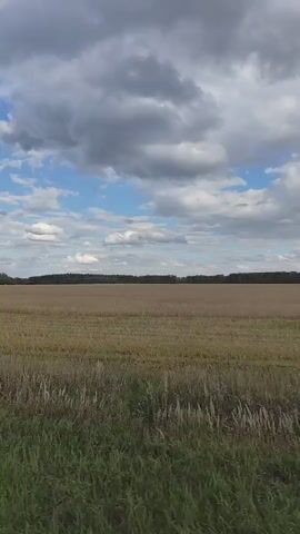 A vertical video shows a view of a harvested field under a cloudy sky. The field appears to be golden brown with some green grass in the foreground. In the distance, there is a line of trees. The camera is moving, giving a sense of a slow drive or walk through the landscape. The sky is filled with large, dramatic clouds interspersed with patches of blue sky. The lighting suggests it is daytime, possibly late afternoon. No people or specific objects are visible within the field itself. The overall impression is one of a rural, autumnal landscape.