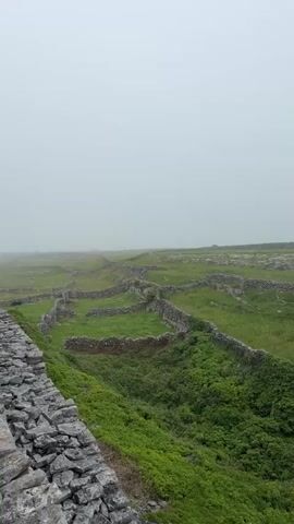 This video shows a drone flying over a grassy field divided by stone walls. The sky is overcast and foggy, obscuring the horizon. The stone walls are low and dry-stacked, forming a patchwork of enclosures across the landscape. Some of the walls are covered in green vegetation, suggesting they are old and have been in place for a long time. The drone flies at a moderate height, providing a sweeping view of the terrain. There are no people or animals visible in the video. The overall impression is one of a remote, rural landscape with a history of agricultural use.