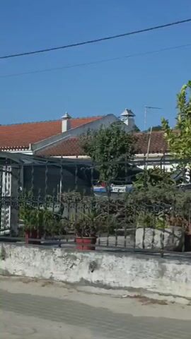 The video shows a street view with houses and gates. There are several gates visible, some are green, and some are made of metal. One gate has a sign that says "SAÍDA," which means "EXIT" in Portuguese. There are also some trees and bushes along the side of the road. The sky is blue, indicating a clear day. The houses have red-tiled roofs. There is a lamppost visible in the middle of the frame. The overall scene appears to be in a residential area.
