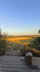 Early morning photo session in Shaalvim agricultural area