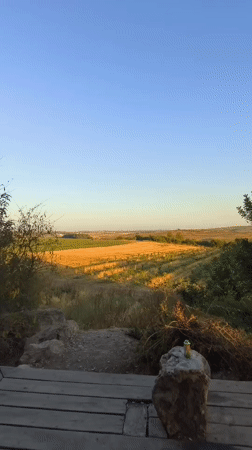 Early morning photo session in Shaalvim agricultural area