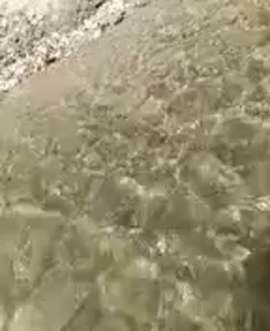 A grainy, shaky, close-up video shows the bottom of a body of water. The water is murky and appears to be shallow, with sand and debris visible on the bottom. Sunlight filters through the water, creating shifting patterns of light and shadow. The camera pans slowly across the seabed, revealing small rocks, pebbles, and what appear to be bits of shell. In some sections, the water is disturbed, suggesting movement, possibly from currents or something beneath the surface. The overall impression is of looking through slightly turbid water at a natural, sandy bottom.