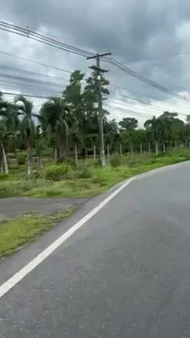 The video shows a gray paved road with green grass and trees to the side under a cloudy sky. Utility poles and wires run along the roadside. The camera appears to be moving along the road.