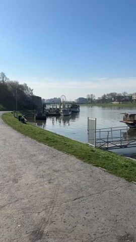 The video shows a river scene on a sunny day. Several small boats are docked along the riverbank, including one with a clear plastic enclosure. A large Ferris wheel is visible in the background, along with buildings and trees. A white object, possibly a swan, floats in the water near the boats. A paved walkway runs along the riverbank, bordered by grass. A metal gate stands at the edge of the walkway, near the water.