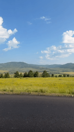Rolling through a flower-filled Russian countryside by road