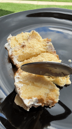 Columbus resident captures spring blossoms, shares cake outdoors