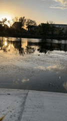 Evening waterfront park life captured in Leningradskaya, Russia