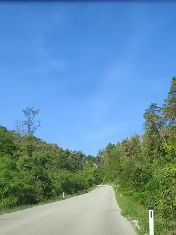 The video shows a view from a vehicle moving along a paved road through a forest. The sky is clear blue. The road curves slightly to the left and upwards. Lush green trees and bushes line both sides of the road. There are white markers along the right side of the road. The foliage appears dense and healthy. There are no people or other vehicles visible.