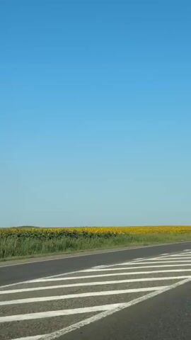 A black Hyundai Accent drives down a paved road with white lane markings. The road runs alongside a field of sunflowers under a clear blue sky. A signpost is visible in the distance on the right side of the road. The car passes a white signpost on the right side of the road. A tree is visible in the distance on the right side of the road.
