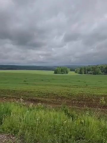 The video shows a wide, green field under a cloudy sky. A strip of darker, plowed land is visible in the foreground. Beyond the field, there are a few small clumps of trees. Tall grass grows in the immediate foreground, near the bottom of the frame. The edge of a car is briefly visible in the lower left corner. The camera appears to be in a moving vehicle.