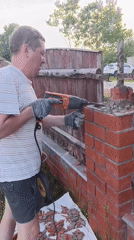 Spring Afternoon: Brick Demolition and Garden Life Documented