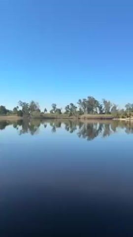 The video shows a still lake reflecting a line of trees and houses on its opposite bank under a clear blue sky. The water is dark and calm, mirroring the landscape almost perfectly. The trees are mostly bare, and the houses appear to be residential with varied architectural styles. The shot is static, capturing a serene and tranquil scene of a lakeside community.
