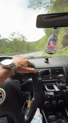 Driver navigates winding road through trees near Asenovgrad, Bulgaria