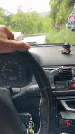 Driver navigates winding road through trees near Asenovgrad, Bulgaria