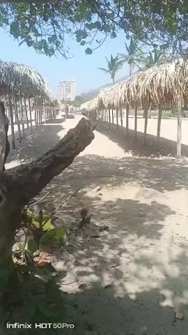 The video shows a sandy beach with rows of thatched-roof sunshades, their poles casting shadows on the sand.  A few people can be seen further down the beach. In the distance are high-rise buildings. Some green foliage hangs in the upper portion of the shot. The camera appears to be held by someone slowly walking along the beach.