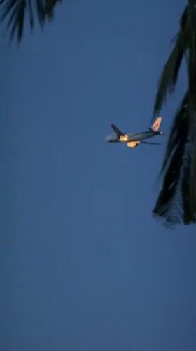 Dusk in Baan Bang Rak: palm trees, moon, and a quiet evening out