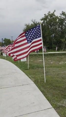 A video shows a pathway lined with American flags. The flags are of various sizes and are planted in the grass on either side of the pathway. The pathway appears to be made of concrete or stone and curves to the left as it moves away from the camera. In the background, there are trees, buildings, and a cloudy sky. The flags are waving in the wind, creating a sense of movement and patriotism. One flag in the foreground is particularly large and is blowing prominently in the wind, obscuring some of the view of the pathway and other flags. There are also some signs visible among the flags.