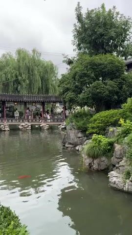 This is a video of a traditional Chinese garden. In the foreground, there is a pond with a red fish visible near the surface. On the right side of the pond, there are large rocks and lush green bushes. Across the pond, there is a long, covered walkway with an ornate, dark roof supported by pillars. People are seen walking along this walkway. Behind the walkway, there is a large building with a distinctive pagoda-style roof, painted in red and dark colors. Several people are also visible on the balcony of this building. To the left of the building and behind the walkway, a large weeping willow tree with green foliage is prominent. The sky is overcast, suggesting a cloudy day. The overall atmosphere is serene and picturesque.