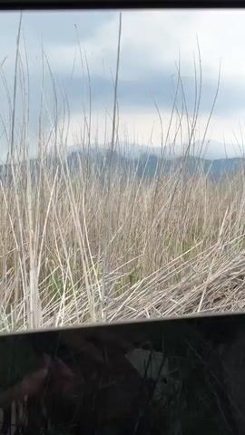 The video is filmed from inside a vehicle, looking out of a window. The view is of a landscape with dry grass in the foreground and mountains in the background. The sky is cloudy. The camera pans slightly, showing different sections of the landscape. At the bottom of the frame, a dark surface is visible, which appears to be the interior of the vehicle, possibly a dashboard or seat.