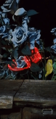 Nighttime dining and illuminated flowers documented in Sa Pa Ward