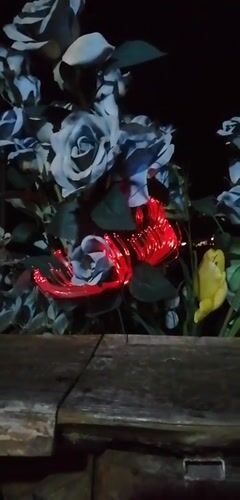 Nighttime dining and illuminated flowers documented in Sa Pa Ward