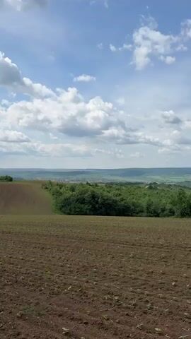 The video shows a rural landscape on a sunny day with some clouds. The foreground is a tilled field, with small rows of young seedlings just emerging. Beyond the field, there's a green belt of trees and foliage, suggesting a forest or wooded area. In the distance, the horizon reveals a view of gently rolling hills and what seems like a small settlement or town.  There is the sound of either wind or a motor.