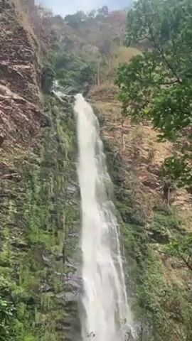 The video shows a tall waterfall in a lush, green environment. The waterfall cascades down a rocky cliff face covered in moss and vegetation. Trees with green leaves are visible in the foreground, partially obscuring the view of the falls. The water appears white and foamy as it plunges downward. The surrounding terrain is rocky and covered in a mix of trees and plants. The sky above is overcast.
