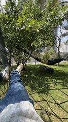 Two people relax in hammocks at Mexico City park