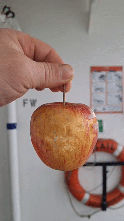 Apple carved with "FRUIT" photographed in Belum, Germany
