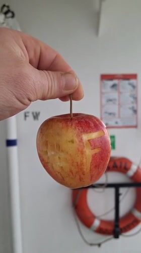 Apple carved with "FRUIT" photographed in Belum, Germany