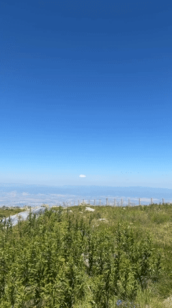 Summer morning on Vitosha's Cherni Vrah peak above Sofia