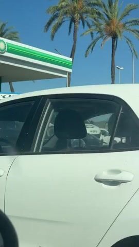 The video shows a series of shots at a BP gas station on a sunny day. The first shot captures the side of a black Porsche SUV parked at a pump with a hose attached, and palm trees in the background. The second shot shows the rear of a white van at a pump with a person on a cherry picker above it, and more palm trees. The third shot shows the side of a silver car at a gas station with pumps visible in the background. The final shot focuses on the side of a blue SUV at the gas station.
