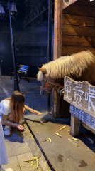 Woman feeds pony outside cocktail bar in Chongqing