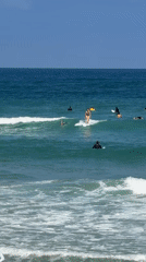 Tel Aviv beach morning with surfers, park games, horses