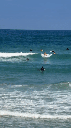 Tel Aviv beach morning with surfers, park games, horses