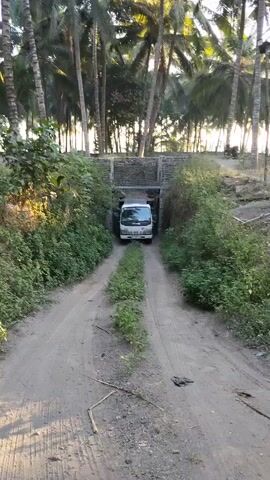 The video shows a white truck driving through a narrow, dirt-road tunnel. The tunnel is made of stone and is surrounded by dense vegetation. Coconut trees are visible in the background. The truck is moving slowly and appears to be the only vehicle in the immediate vicinity. The lighting suggests it is daytime, possibly late afternoon due to the warm tones in the sky. The road has two distinct tire tracks with overgrown grass in the middle.