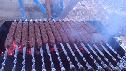 Outdoor barbecue with meat skewers observed in Nizhnevartovsk