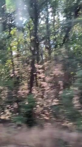 This is a video recording from a moving vehicle, likely a car, traveling through a wooded area in Ohoden, Bulgaria. The camera is pointed to the side, capturing the passing scenery.

The primary subjects are the trees and foliage of a forest. The trees are tall and leafy, with sunlight filtering through the branches, creating dappled light and shadow effects. The greenery appears lush, suggesting a time of year with abundant plant growth. The ground beneath the trees is visible in some frames, appearing as a mix of dry leaves and sparse vegetation.

The activity taking place is travel. The blurred motion of the trees and the ground indicates that the vehicle is in motion, moving at a moderate speed. The perspective suggests the camera is positioned within or near a window of the vehicle.

Notable details include the bright sunlight, indicating it is daytime, likely late morning or afternoon. The sky is visible in some frames, showing a mix of blue sky and scattered clouds. The overall impression is a peaceful and natural setting. There are no visible people, distinct objects, or text within the frames. The video captures a serene, natural landscape during daylight hours in a rural Bulgarian setting.