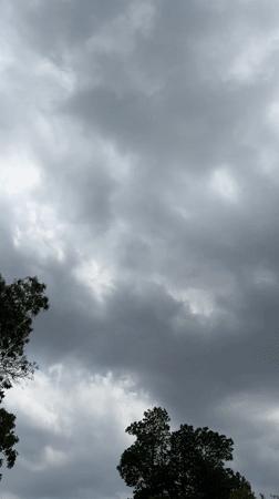 Woman documents rural road journey in Vietnamese countryside