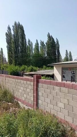 A video displays a wide view of a residential area under a clear sky. A brick fence, topped with red decorative bricks, stretches across the foreground. Behind the fence, lush green trees and tall, slender trees dominate the landscape. A building, partly visible on the right side, has a beige exterior and a window with a metal grate. The overall scene suggests a warm, sunny day in a semi-rural or suburban setting.